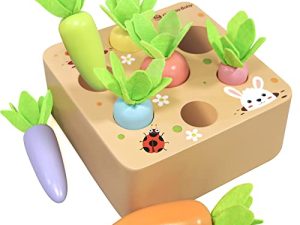 Montessori Toys for 1 Year Old Toddlers