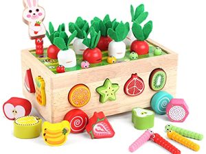 Toddlers Montessori Wooden Educational Toys for Baby Boys Girls Age 2 3 4 Year Old