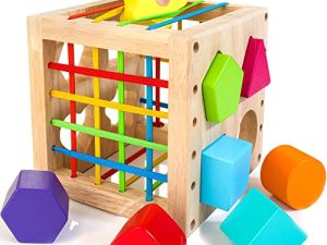 HELLOWOOD Montessori Toys for 1 Year Old
