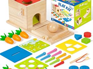 5-in-1 Wooden Play Kit Montessori Toy - Object Permanence Box