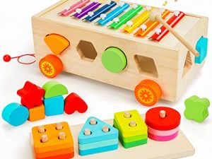 TOY Life Shape Sorter Xylophone for Toddlers 1-3